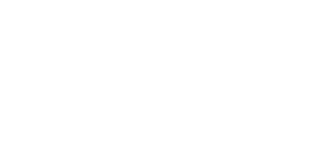 Primary Raster logo